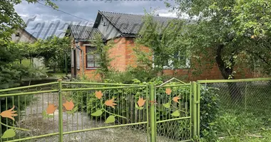 House in Vidamlianski sielski Saviet, Belarus