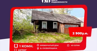 Haus 1 Zimmer in Liebiedzieuski sielski Saviet, Weißrussland