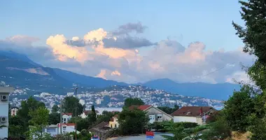 Apartamento 1 habitacion en Provodina, Montenegro