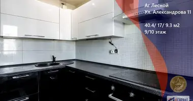 1 room apartment in Lyasny, Belarus