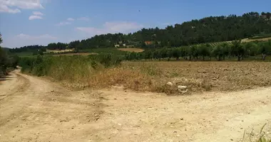 Grundstück in Kassandrino, Griechenland