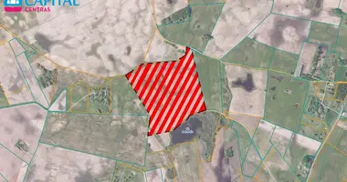 Plot of land in Nupronys, Lithuania