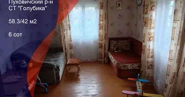 Dom w Raunapollie, Białoruś