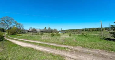 Grundstück in Szugken, Litauen