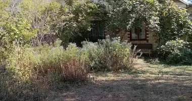 Maison dans Viesialouski siel ski Saviet, Biélorussie