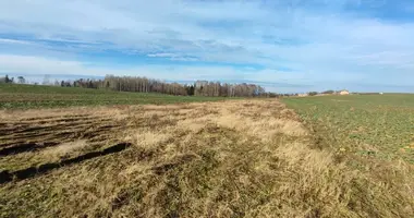 Terrain dans Prauliai, Lituanie