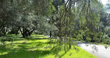 Terrain dans Agios Mattheos, Grèce