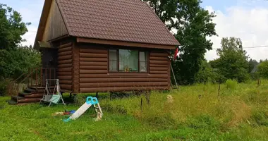 House in Mshinskoe selskoe poselenie, Russia