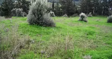 Plot of land in Ano Kalesa, Greece