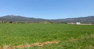 Plot of land in Lakkia, Greece