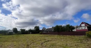 Terrain dans Baraulianski sielski Saviet, Bélarus