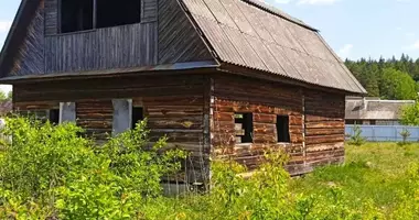 House in Niemanicki sielski Saviet, Belarus