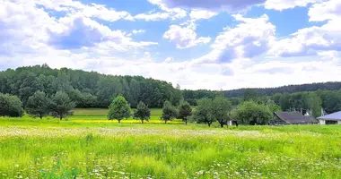 Dom w Astrasyckaharadocki siel ski Saviet, Białoruś