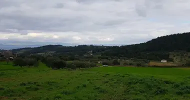 Terrain dans Paliouri, Grèce