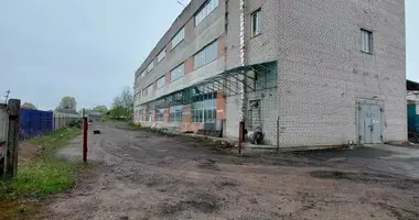 Manufacture 2 360 m² in Mahilyow, Belarus