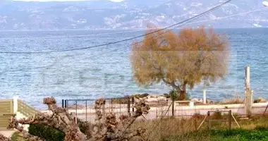 Propriété commerciale 270 m² dans Assos, Grèce