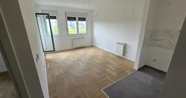 1 bedroom apartment in Belgrade, Serbia