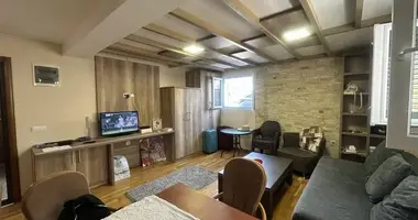 Wohnung 1 Schlafzimmer in Krasici, Montenegro