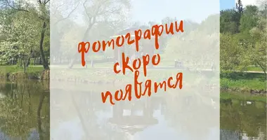 Дом в Неманицкий сельский Совет, Беларусь