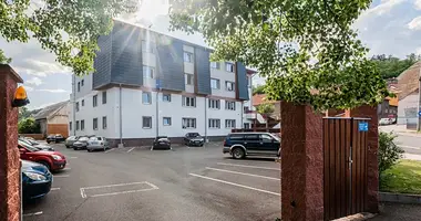 Mieszkanie 2 pokoi w Otvovice, Czechy