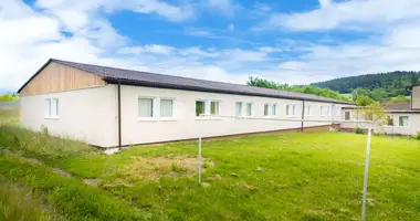 Commercial property 500 m² in Nalzovske Hory, Czech Republic