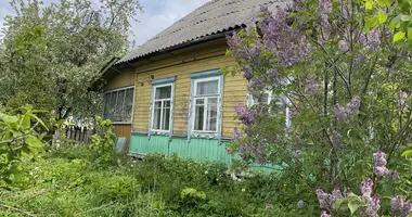 House in Mahilyow, Belarus