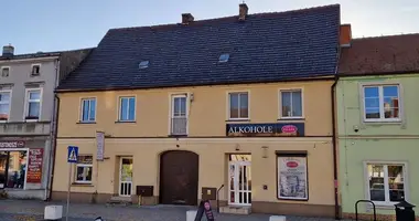 Apartment in Kornik, Poland