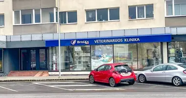 Commercial property 199 m² in Panevėžys, Lithuania