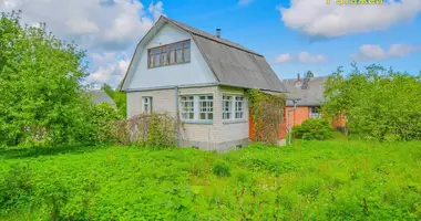 House in Lasanski sielski Saviet, Belarus