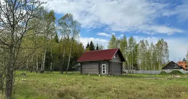 House in Piatryskauski sielski Saviet, Belarus