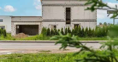 Дом в Вильнюс, Литва