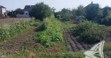 Дом в Чернавчицкий сельский Совет, Беларусь