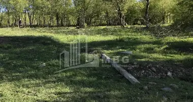 Plot of land in Georgia