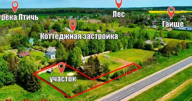 Участок земли в Хатежинский сельский Совет, Беларусь