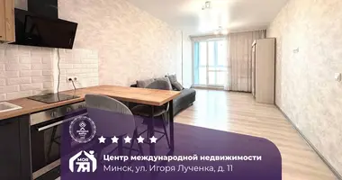 1 room apartment in Minsk, Belarus