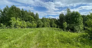 Grundstück in Medziukai, Litauen