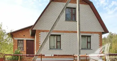 House in Skoki, Belarus