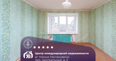 2 room apartment in Malye Nestanovichi, Belarus