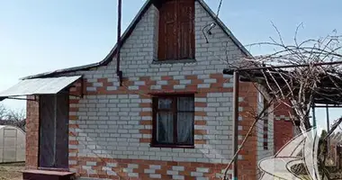 House in Skoki, Belarus