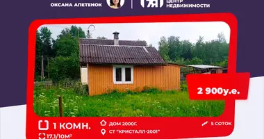 Haus 1 Zimmer in Miasocki sielski Saviet, Weißrussland