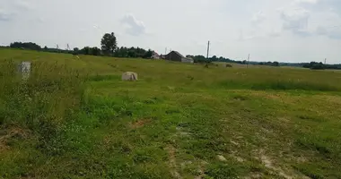 Grundstück in Zekiskes, Litauen