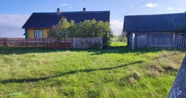 House in Ilanskia Hutary, Belarus