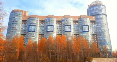 Apartment in okrug Ozero Dolgoe, Russia