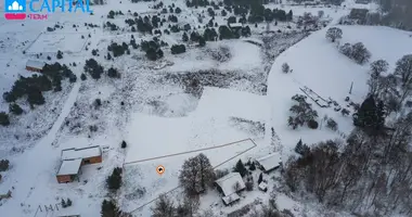 Grundstück in Paraudondvariai, Litauen