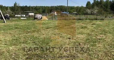 Grundstück in Vielikarycki sielski Saviet, Belarus