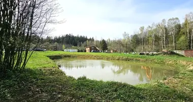 Terrain dans Kazlu Ruda, Lituanie