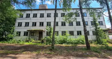 Commercial property 2 491 m² in Pleshchanitsy, Belarus