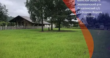 Terrain dans Piekalinski sielski Saviet, Bélarus