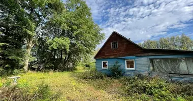 House in Daujenai, Lithuania