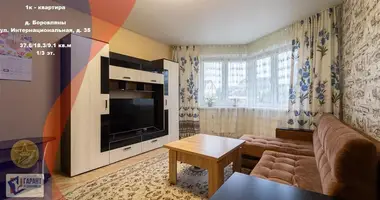 Appartement 1 chambre dans Barawliany, Biélorussie